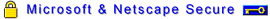 Also Secure for Microsoft and Netscape