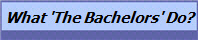 What 'The Bachelors' Do?